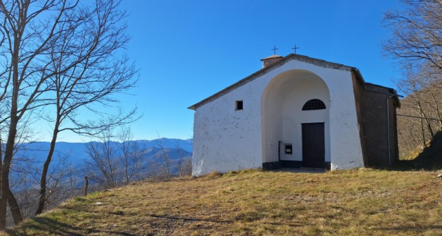 L’età degli anfibi carismatici