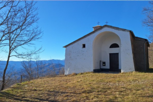 L’età degli anfibi carismatici