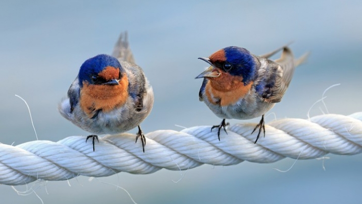 Caring for conflicts