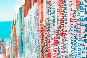 Passion and interests