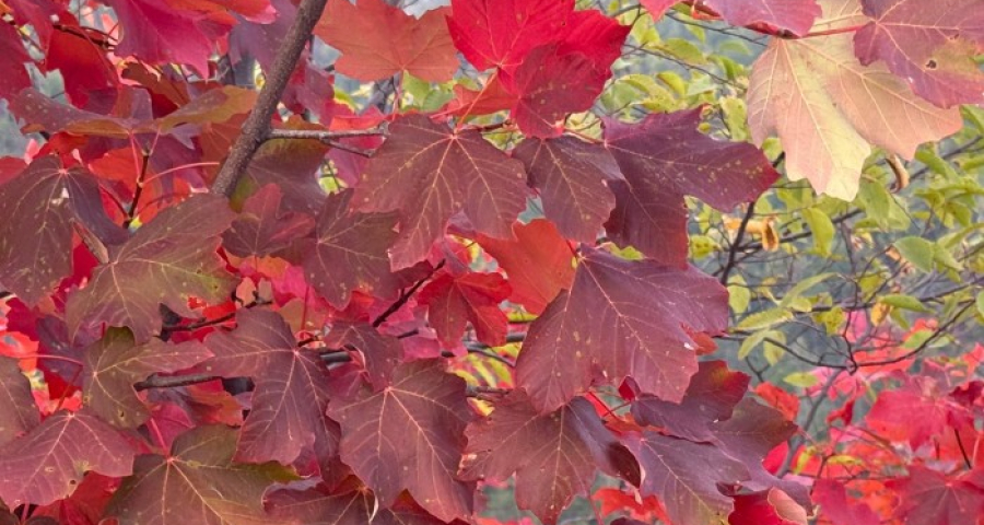 Non solo Eros: l'amore è libertà responsabile