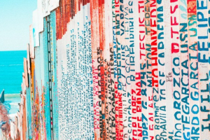 A paixão e os interesses