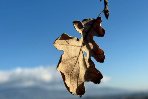 Vivi e immersi in questo tempo