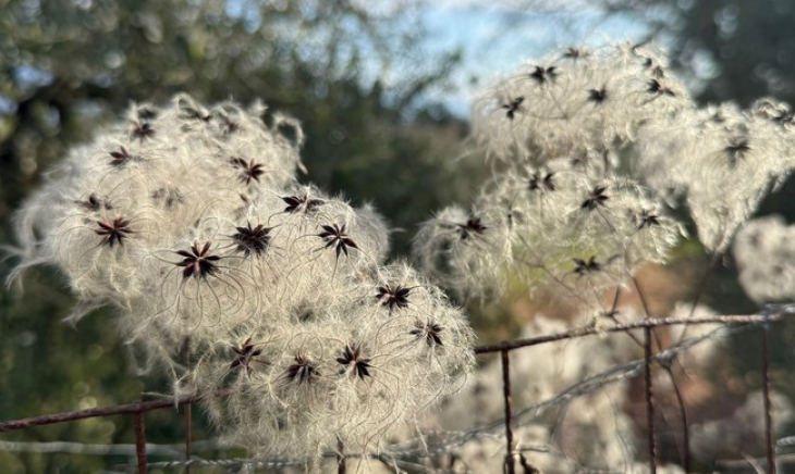 A Church that enters history. Between social justice and subsidiarity