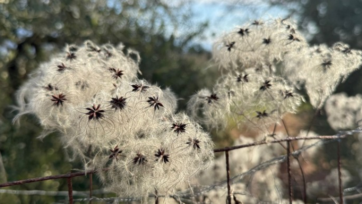 Une Église qui entre dans l’Histoire. Entre justice et subsidiarité.