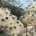 Une Église qui entre dans l’Histoire. Entre justice et subsidiarité.