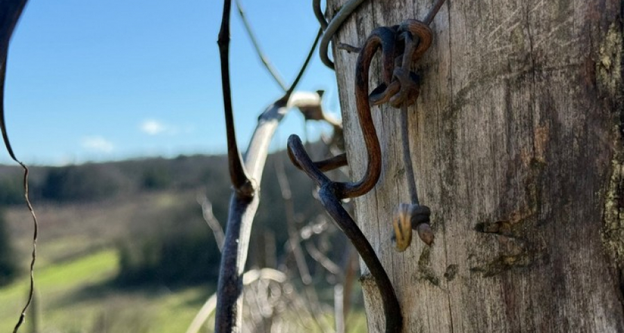 Il sangue dell’Europa che cambiò lo sguardo della Chiesa sul sociale