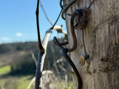 La sangre de Europa que cambió la mirada de la Iglesia sobre lo social