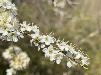 The Turning Point of Vatican II: A Church Opening Itself to the World