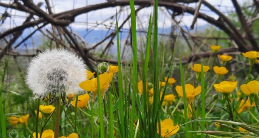 La guerra non ridiventa giusta