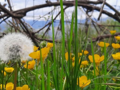 War Can Never Be Just Again