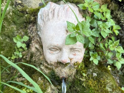 Se ricchezza, grandezza e successo offuscano il carisma delle origini