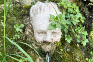 Se ricchezza, grandezza e successo offuscano il carisma delle origini